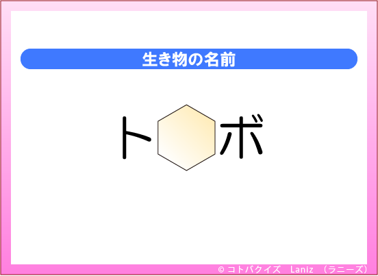 ���t�N�C�YLaniz�̃N�C�Y�摜