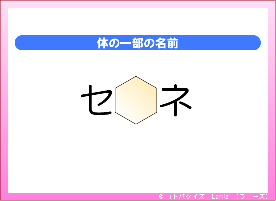 ���t�N�C�YLaniz�̃N�C�Y�摜